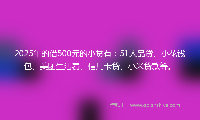 2025年的借500元的小贷有：51人品贷、小花钱包、美团生活费、信用卡贷、小米贷款等。