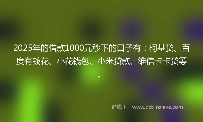 2025年的借款1000元秒下的口子有：柯基贷、百度有钱花、小花钱包、小米贷款、维信卡卡贷等。