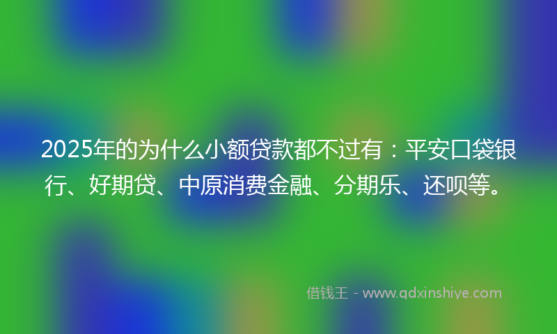2025年的为什么小额贷款都不过有：平安口袋银行、好期贷、中原消费金融、分期乐、还呗等。