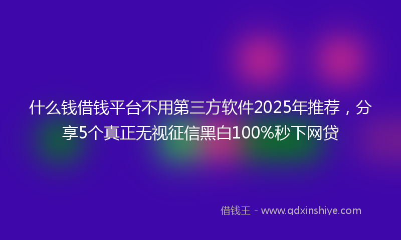 什么钱借钱平台不用第三方软件2025年推荐，分享5个真正无视征信黑白100%秒下网贷