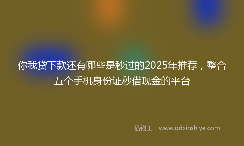 你我贷下款还有哪些是秒过的2025年推荐，整合五个手机身份证秒借现金的平台