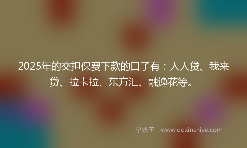 2025年的交担保费下款的口子有：人人贷、我来贷、拉卡拉、东方汇、融逸花等。
