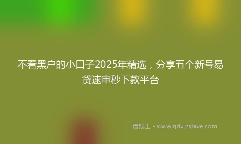 不看黑户的小口子2025年精选，分享五个新号易贷速审秒下款平台