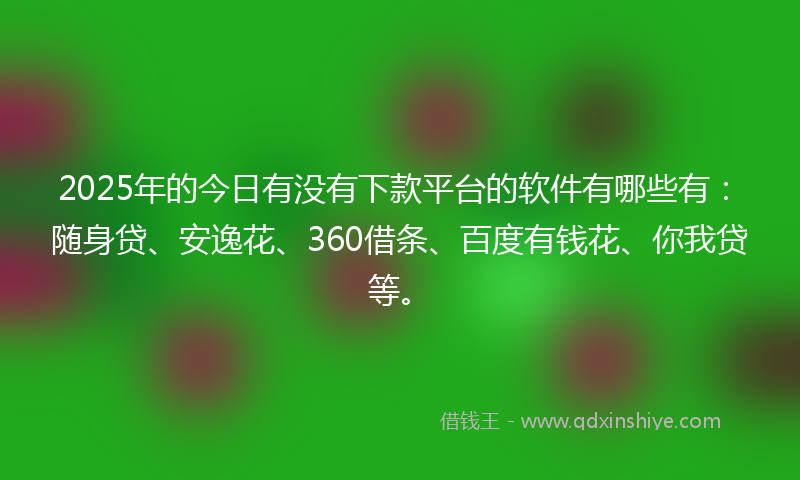 2025年的今日有没有下款平台的软件有哪些有：随身贷、安逸花、360借条、百度有钱花、你我贷等。