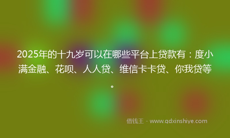 2025年的十九岁可以在哪些平台上贷款有：度小满金融、花呗、人人贷、维信卡卡贷、你我贷等。