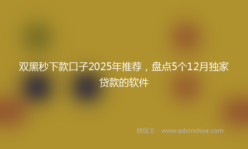 双黑秒下款口子2025年推荐，盘点5个12月独家贷款的软件