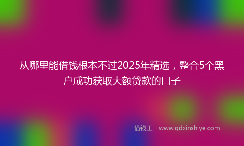 从哪里能借钱根本不过2025年精选，整合5个黑户成功获取大额贷款的口子