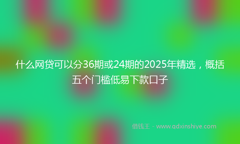 什么网贷可以分36期或24期的2025年精选，概括五个门槛低易下款口子