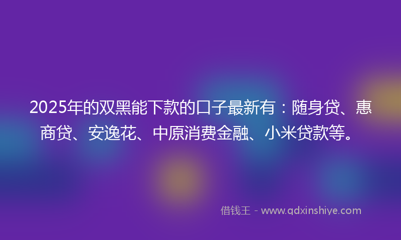 2025年的双黑能下款的口子最新有：随身贷、惠商贷、安逸花、中原消费金融、小米贷款等。