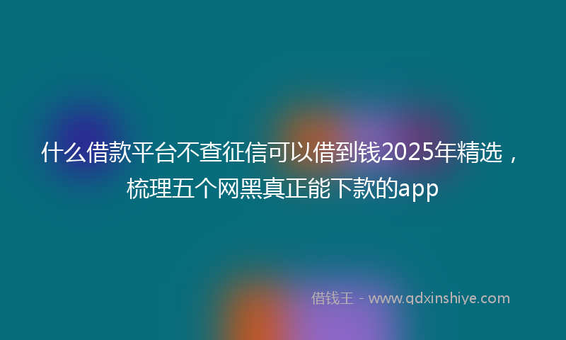 什么借款平台不查征信可以借到钱2025年精选，梳理五个网黑真正能下款的app