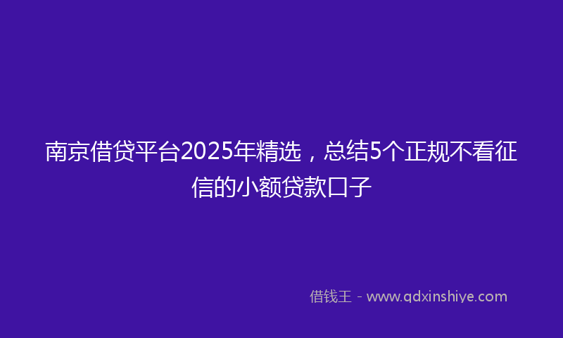 南京借贷平台2025年精选，总结5个正规不看征信的小额贷款口子