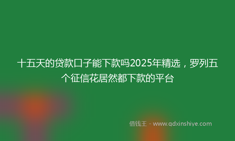 十五天的贷款口子能下款吗2025年精选，罗列五个征信花居然都下款的平台