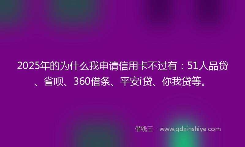 2025年的为什么我申请信用卡不过有：51人品贷、省呗、360借条、平安i贷、你我贷等。