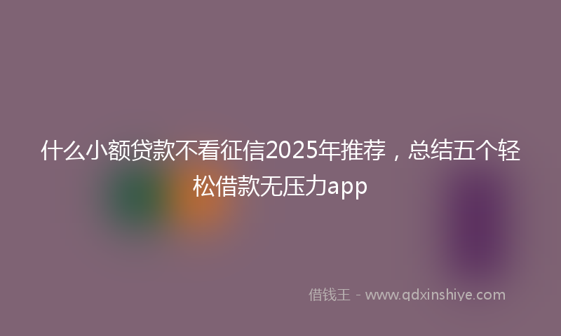 什么小额贷款不看征信2025年推荐，总结五个轻松借款无压力app