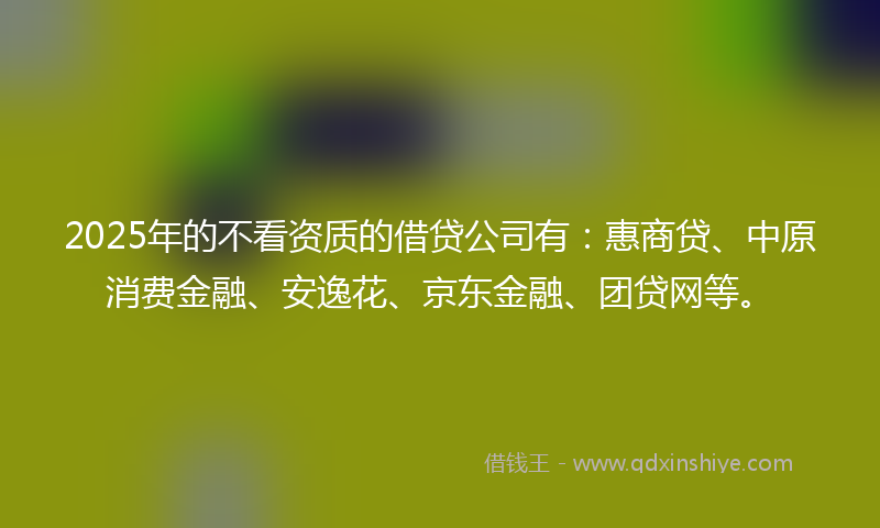 2025年的不看资质的借贷公司有：惠商贷、中原消费金融、安逸花、京东金融、团贷网等。