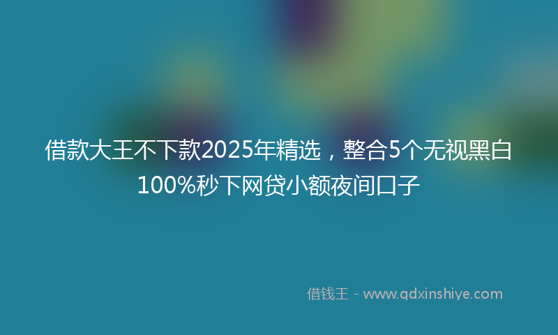 借款大王不下款2025年精选，整合5个无视黑白100%秒下网贷小额夜间口子