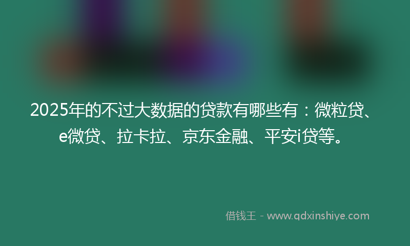 2025年的不过大数据的贷款有哪些有：微粒贷、e微贷、拉卡拉、京东金融、平安i贷等。