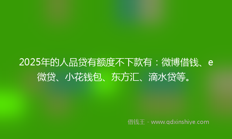 2025年的人品贷有额度不下款有：微博借钱、e微贷、小花钱包、东方汇、滴水贷等。