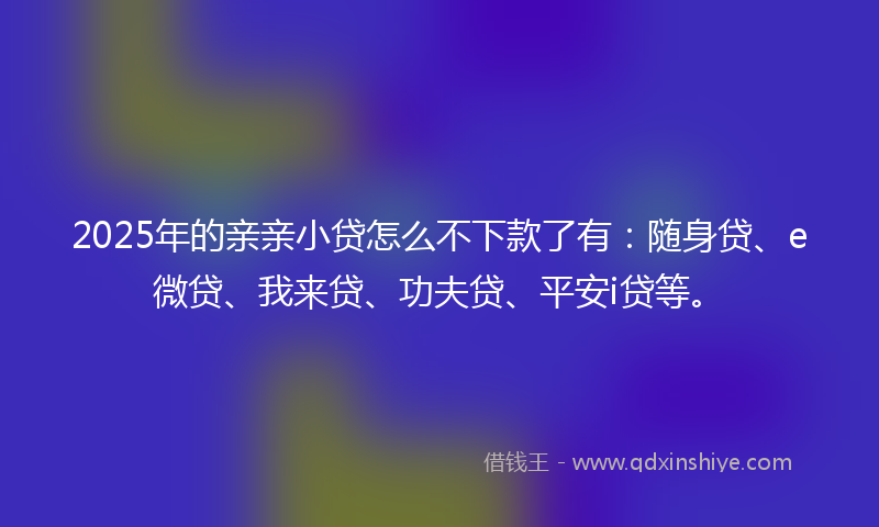 2025年的亲亲小贷怎么不下款了有：随身贷、e微贷、我来贷、功夫贷、平安i贷等。