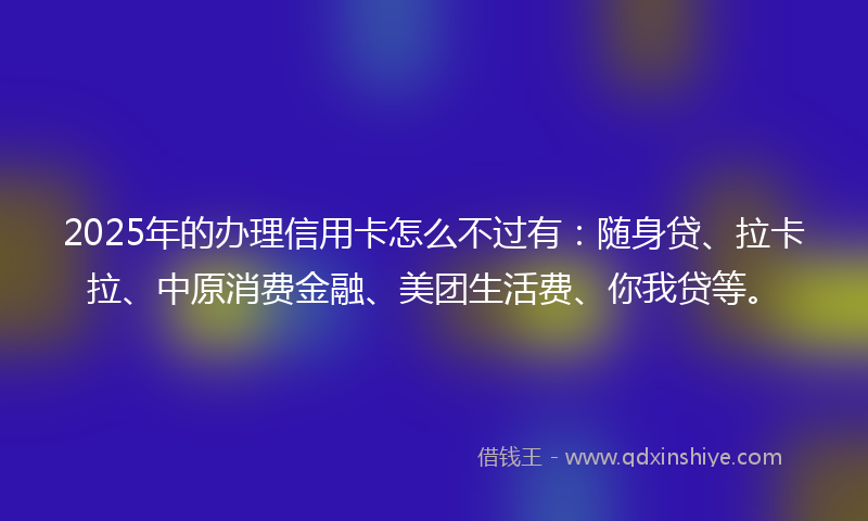 2025年的办理信用卡怎么不过有：随身贷、拉卡拉、中原消费金融、美团生活费、你我贷等。