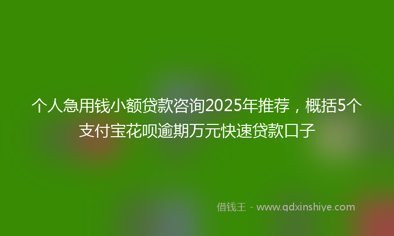 个人急用钱小额贷款咨询2025年推荐，概括5个支付宝花呗逾期万元快速贷款口子