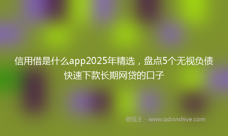 信用借是什么app2025年精选，盘点5个无视负债快速下款长期网贷的口子