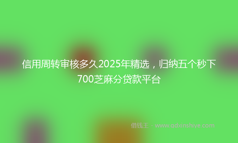 信用周转审核多久2025年精选，归纳五个秒下700芝麻分贷款平台