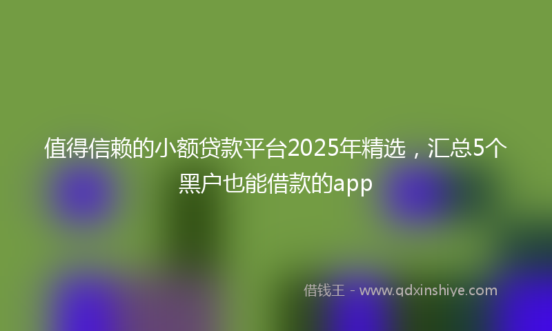 值得信赖的小额贷款平台2025年精选，汇总5个黑户也能借款的app