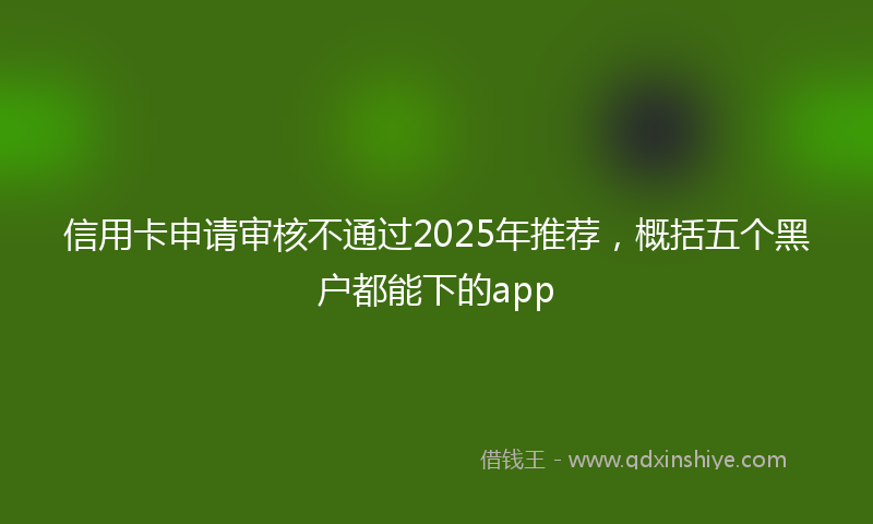 信用卡申请审核不通过2025年推荐，概括五个黑户都能下的app