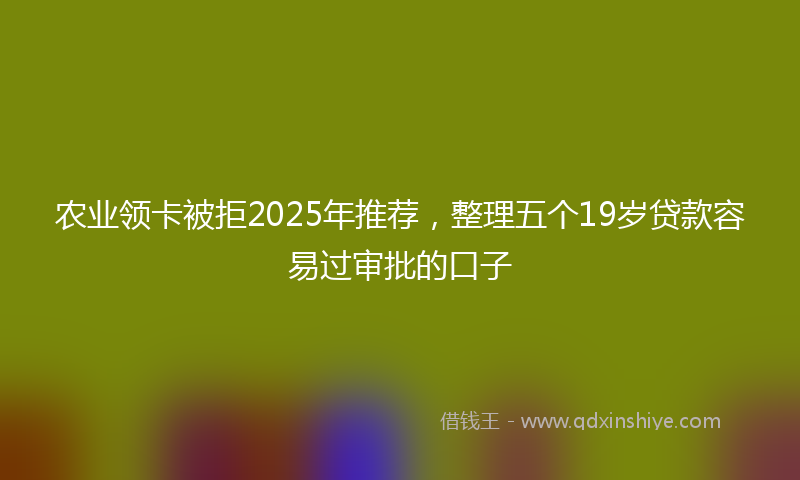 农业领卡被拒2025年推荐，整理五个19岁贷款容易过审批的口子