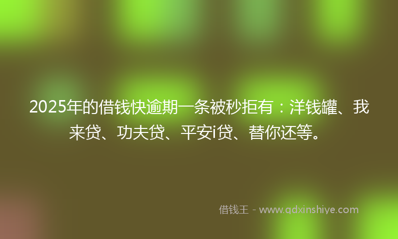 2025年的借钱快逾期一条被秒拒有：洋钱罐、我来贷、功夫贷、平安i贷、替你还等。
