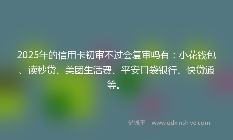 2025年的信用卡初审不过会复审吗有：小花钱包、读秒贷、美团生活费、平安口袋银行、快贷通等。