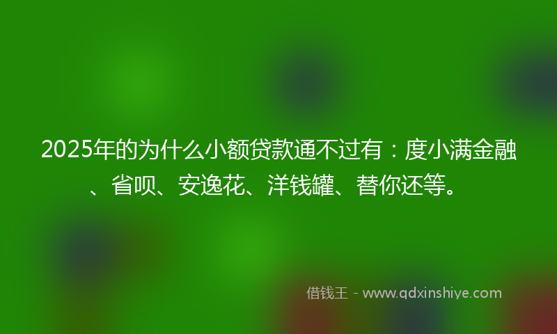 2025年的为什么小额贷款通不过有：度小满金融、省呗、安逸花、洋钱罐、替你还等。