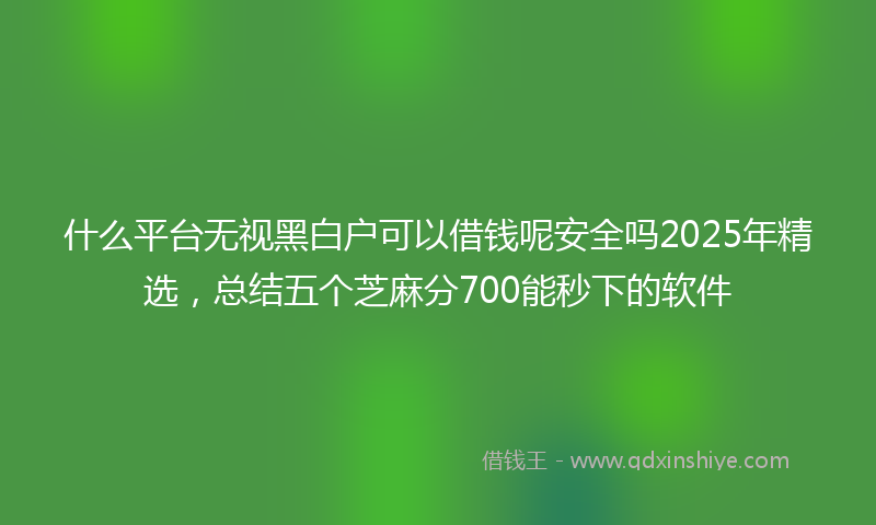 什么平台无视黑白户可以借钱呢安全吗2025年精选，总结五个芝麻分700能秒下的软件