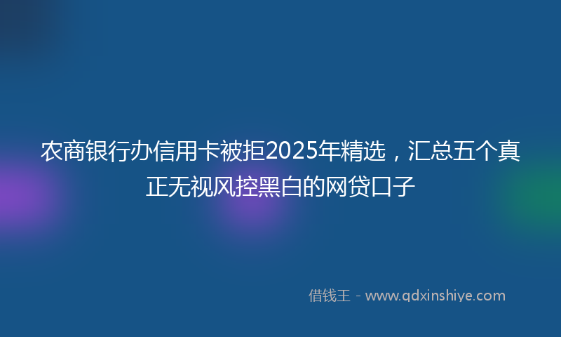 农商银行办信用卡被拒2025年精选，汇总五个真正无视风控黑白的网贷口子