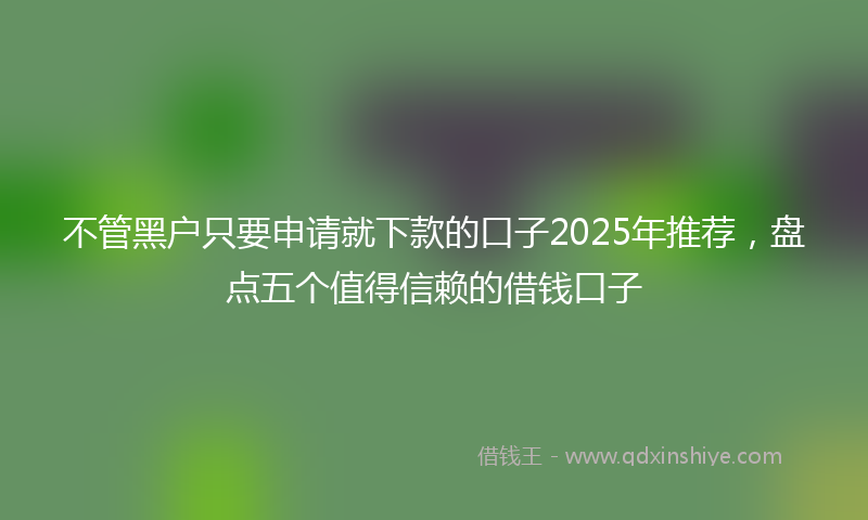 不管黑户只要申请就下款的口子2025年推荐，盘点五个值得信赖的借钱口子