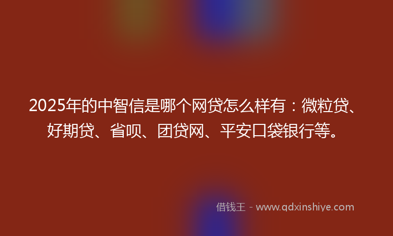 2025年的中智信是哪个网贷怎么样有：微粒贷、好期贷、省呗、团贷网、平安口袋银行等。