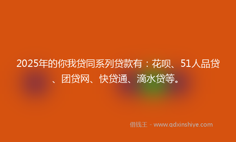 2025年的你我贷同系列贷款有：花呗、51人品贷、团贷网、快贷通、滴水贷等。