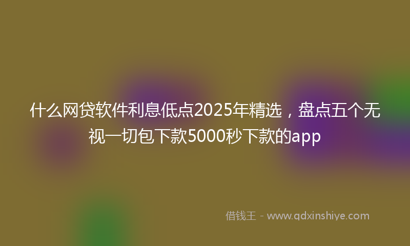 什么网贷软件利息低点2025年精选，盘点五个无视一切包下款5000秒下款的app
