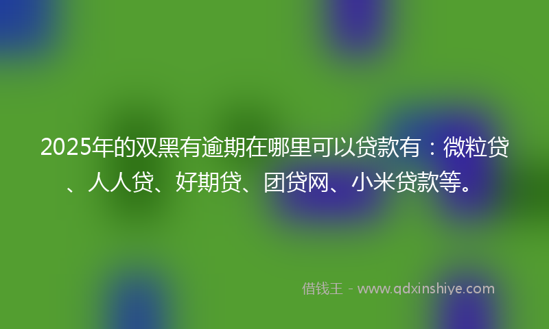 2025年的双黑有逾期在哪里可以贷款有：微粒贷、人人贷、好期贷、团贷网、小米贷款等。