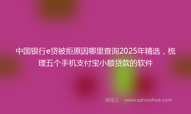 中国银行e贷被拒原因哪里查询2025年精选,梳理五个手机支付宝小额贷款的软件