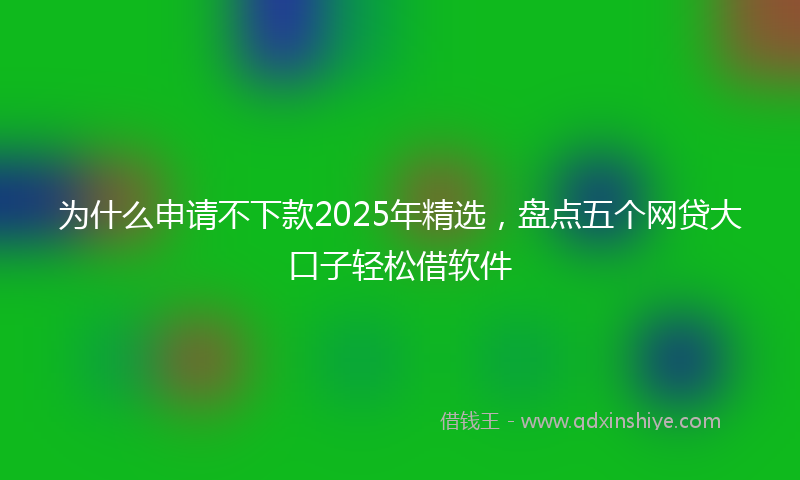 为什么申请不下款2025年精选，盘点五个网贷大口子轻松借软件