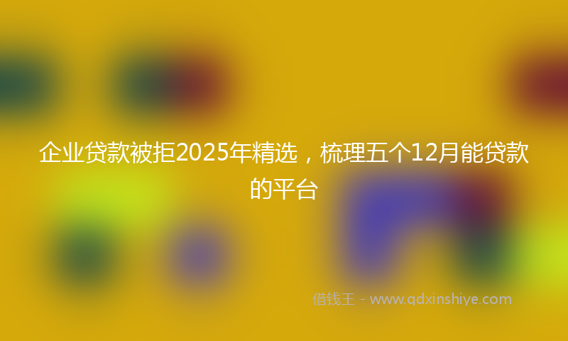 企业贷款被拒2025年精选，梳理五个12月能贷款的平台
