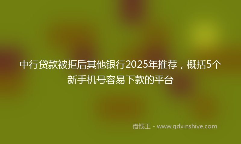 中行贷款被拒后其他银行2025年推荐，概括5个新手机号容易下款的平台