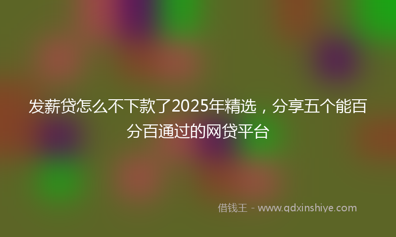 发薪贷怎么不下款了2025年精选，分享五个能百分百通过的网贷平台