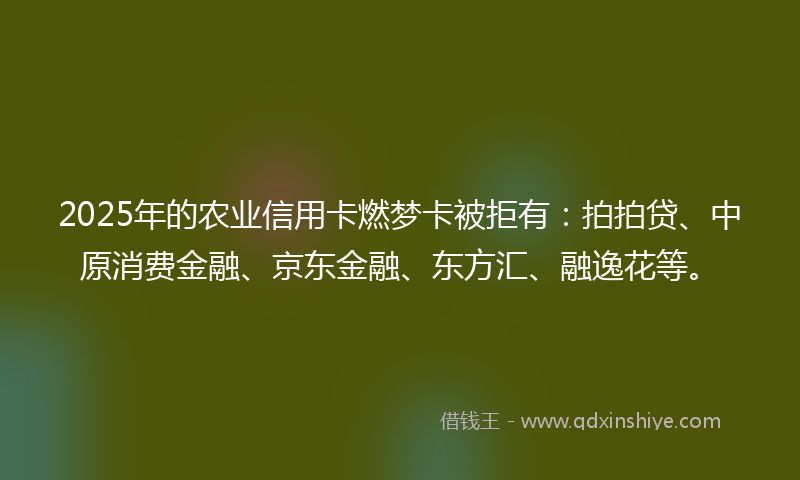 2025年的农业信用卡燃梦卡被拒有：拍拍贷、中原消费金融、京东金融、东方汇、融逸花等。