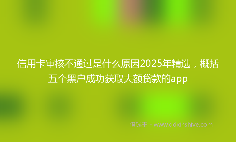信用卡审核不通过是什么原因2025年精选，概括五个黑户成功获取大额贷款的app