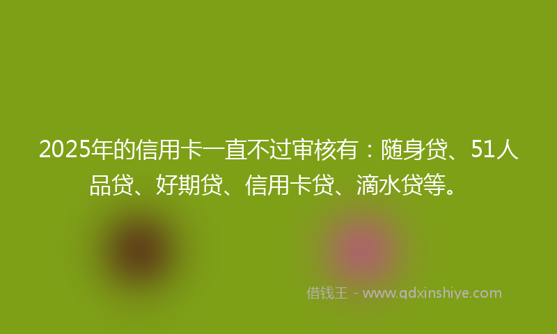 2025年的信用卡一直不过审核有：随身贷、51人品贷、好期贷、信用卡贷、滴水贷等。