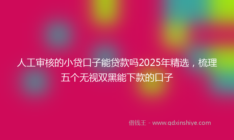 人工审核的小贷口子能贷款吗2025年精选,梳理五个无视双黑能下款的口子