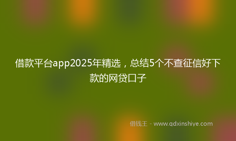 借款平台app2025年精选，总结5个不查征信好下款的网贷口子